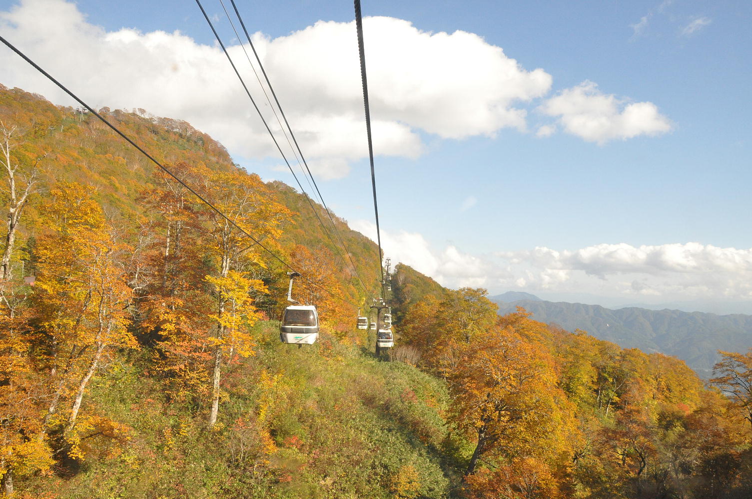 紅葉の中のゴンドラ