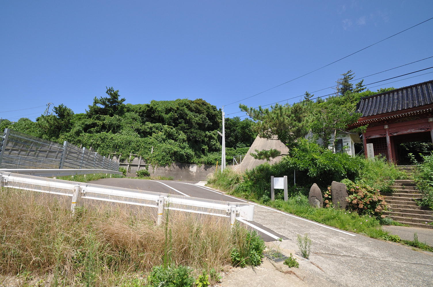 新潟2010；観音堂山門横