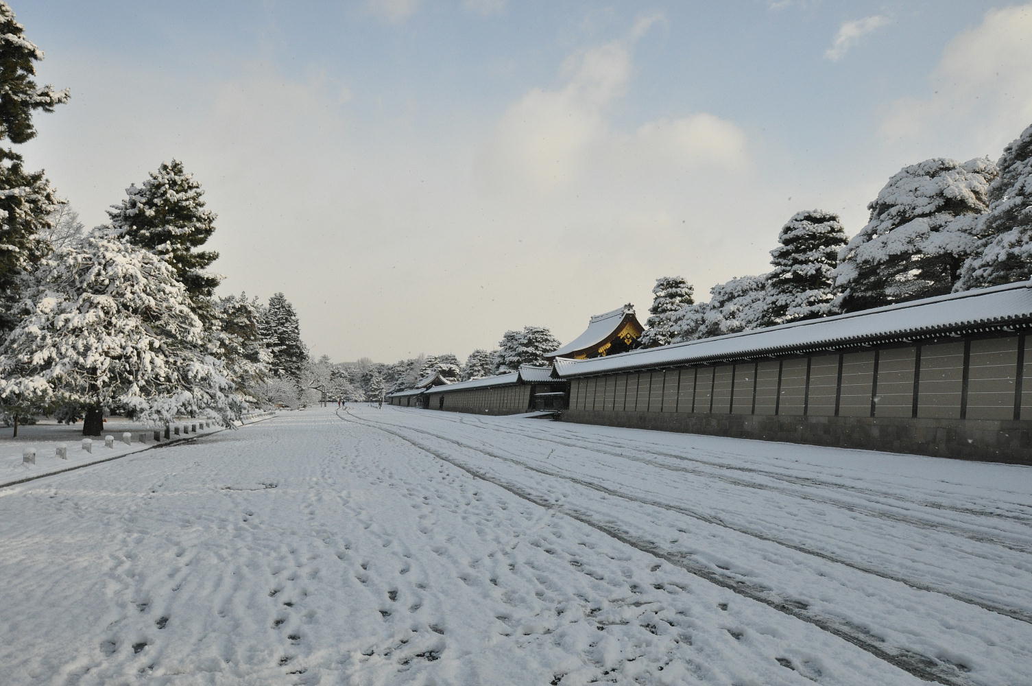 雪の京都御苑(1)