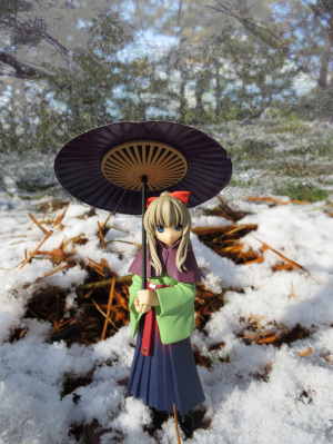 今日は雪